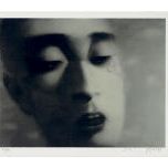 Zhang Xiaogang — Амнезия и память : три пластинки