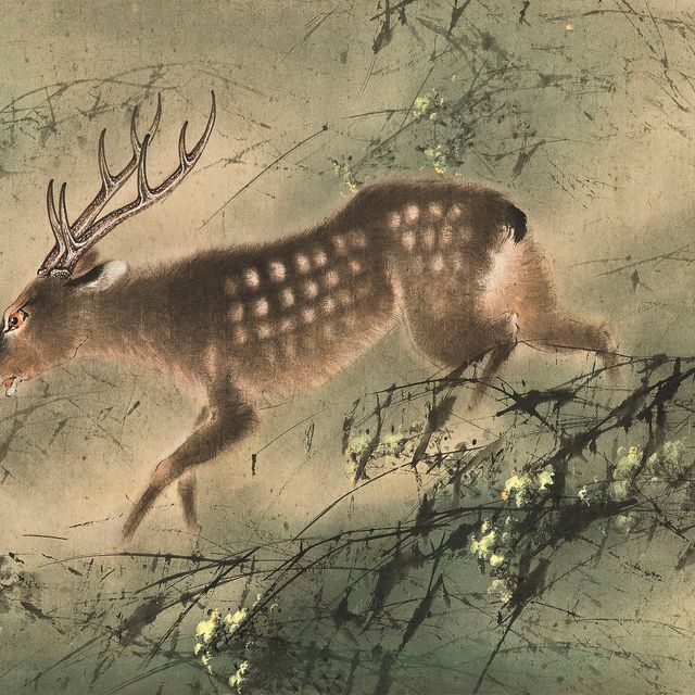 Zhao Shao'ang — Олень
