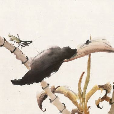 Zhao Shao'ang — Процветание