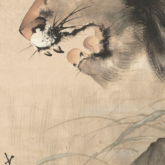 Zhao Shao'ang — Лев