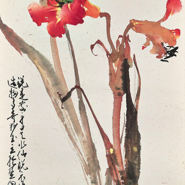 Zhao Shao'ang — Красная каннская лилия