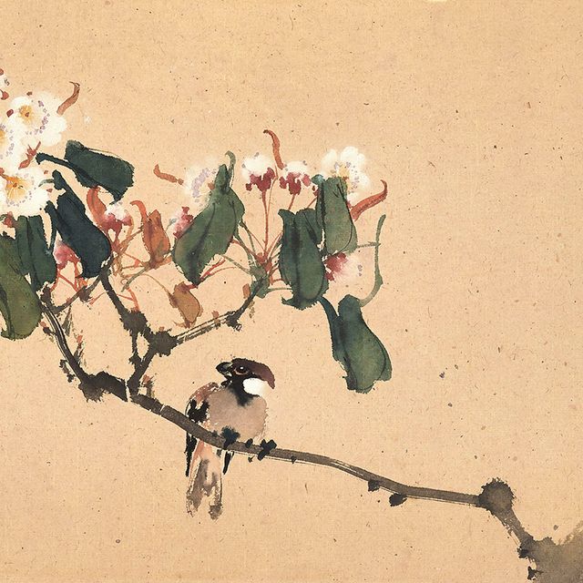 Zhao Shao'ang — Птица и цветы