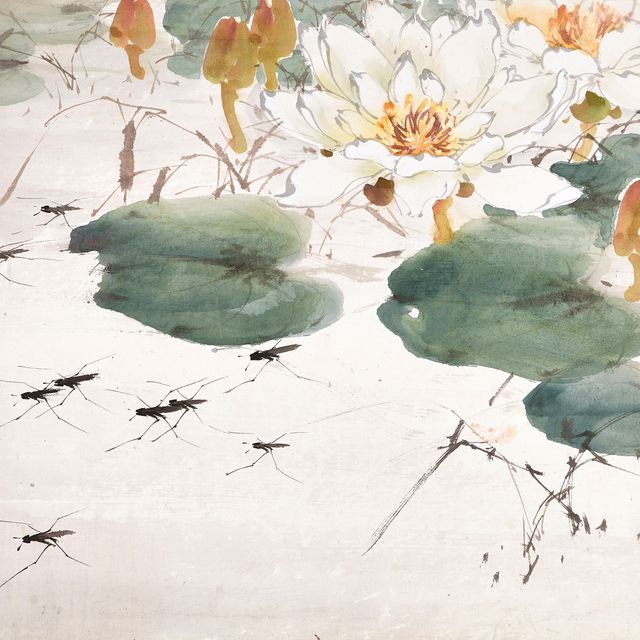 Zhao Shao'ang — Лотос
