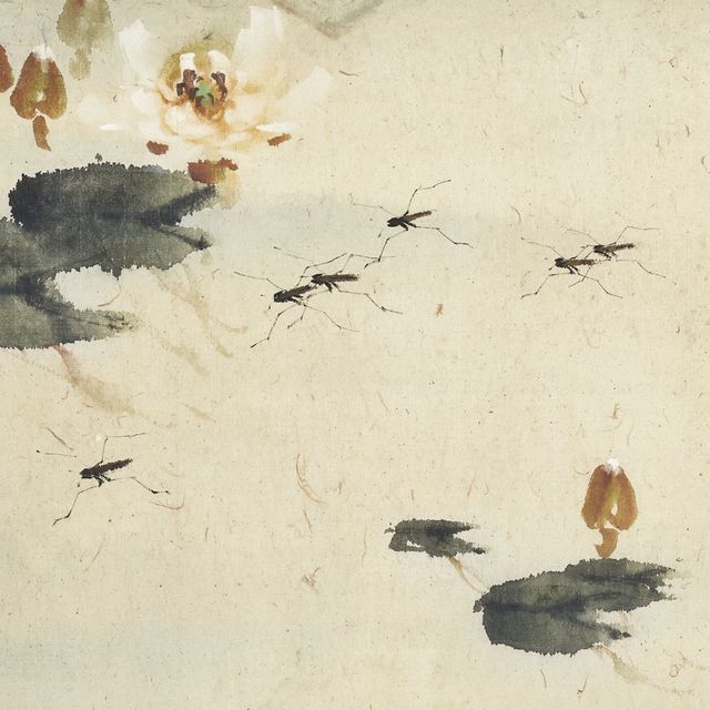 Zhao Shao'ang — Лотос и насекомое