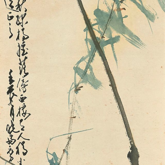 Zhao Shao'ang — Цикада