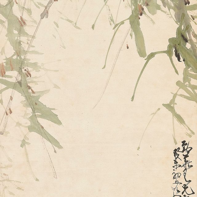 Zhao Shao'ang — Цикада