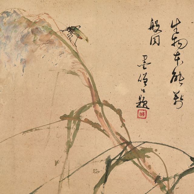 Zhao Shao'ang — Цветок и насекомое