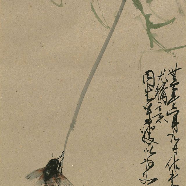 Zhao Shao'ang — Цикада на иве