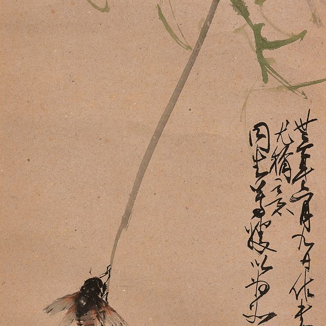 Zhao Shao'ang — Цикада на иве